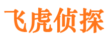 秀峰市侦探调查公司